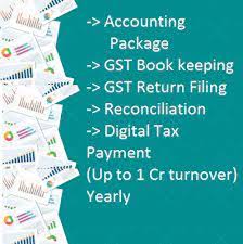 Monthly - Accounting Package / GST Book keeping / Digital Tax Payment (Up to 1 Cr turnover)